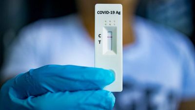 New COVID-19 cases hit near two-month peak