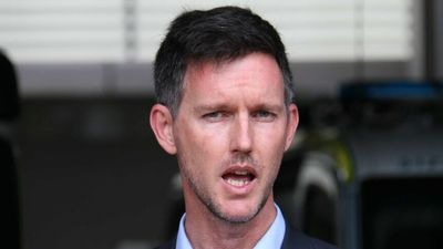 State archivist's report into Mark Bailey's 'Mangocube' email saga reveals union boss 'appeared' to have knowledge of cabinet vote