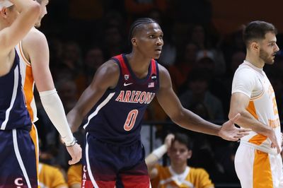 Arizona Wildcats vs. Wright State Raiders: March Madness First Round live stream, TV channel, start time, odds