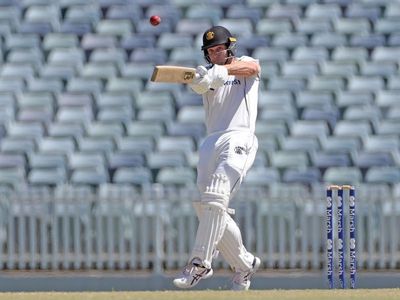 NSW on the ropes as WA strike in Shield
