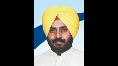 Of 117 MLAs, 1 filed papers in Punjabi, none in Hindi