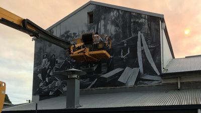 Jacob Butler focuses on Collie's timber industry history in latest contribution to mural trail