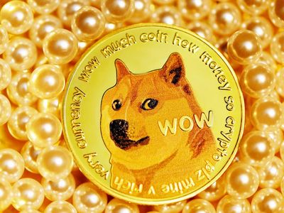 Dogecoin Transaction Fees Surged By A Whopping 4,230% In 2021