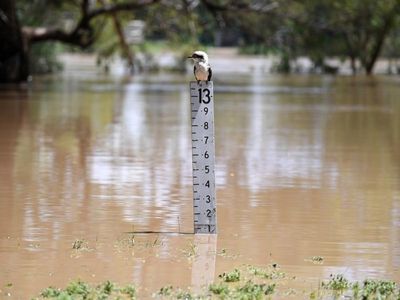 Qld calls for federal flood-alert upgrade