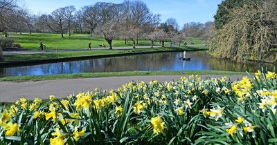 Liverpool weather forecast as Met Office and BBC predict sun for days