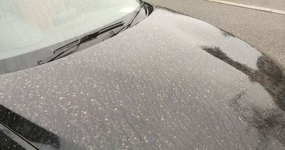 Sahara dust storm: Why was my car covered in red dust this morning?