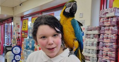 Girl told organs were shutting down, County Road kick-off and girl, 12, died suddenly