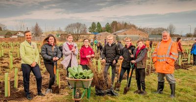 West Lothian students plant over 1700 trees to mark Queen's Jubilee
