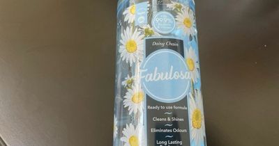 The 99p Aldi cleaning product that 'smells just like Marc Jacobs' perfume'