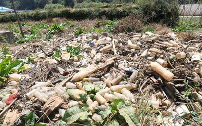 22 years on, an uphill battle against plastics in The Nilgiris