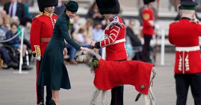 Kate Middleton wears top to toe green and meets huge dog as she marks St Patrick's Day