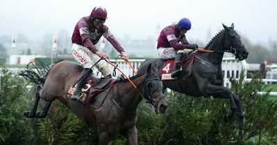 Tiger Roll returns home for St Patrick's Day after finishing second in last ever run at the Cheltenham Festival