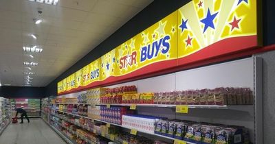 Home Bargains shopper shares 'brilliant' 70p air freshener radiator hack