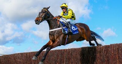 Cheltenham Festival 2022 tips: Champion Chase runner guide and 1-2-3 prediction