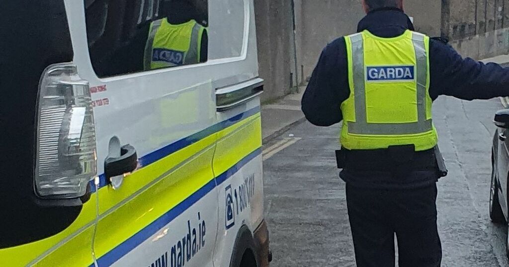 Woman Arrested After Gardai Seize Over €200k Worth Of…