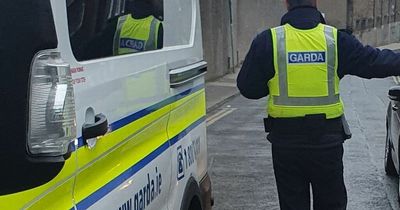 Woman arrested after Gardai seize over €200k worth of cannabis and heroin following Limerick and Tallaght searches