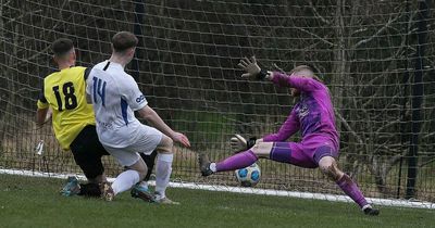 Ballinamallard United standing firm thanks to ex-Linfield defender's impact