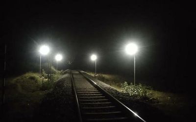 Not possible to reduce train speed below 45kmph to prevent elephant deaths, Southern Railway tells HC