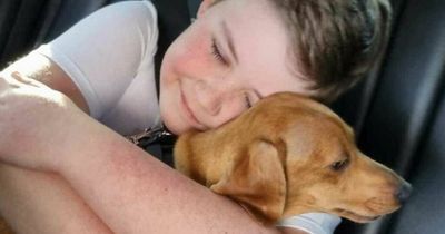 Autistic boy makes emotional plea to thieves who stole his sausage dog