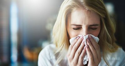 Covid Ireland: How to differentiate spring 'allergies' from the virus amid latest case surge