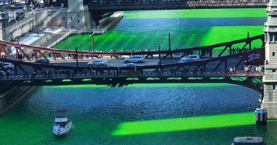 Chicago dyes its lake BRIGHT GREEN to celebrate St Patrick's Day