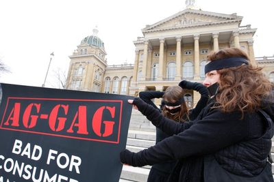 Federal judge finds another Iowa ag-gag law unconstitutional