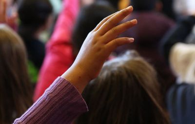 Expanding special schools 'preys on vulnerable families'