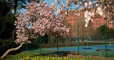 Met Office Bristol forecast is for seven days of sunshine