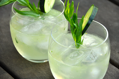 Chancellor urged to rethink booze tax as London distilleries report tours boom