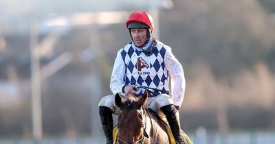 Cheltenham tips: Galvin has the engine to cope with Gold Cup test