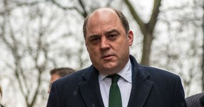 Cabinet minister gets hoax call from imposter pretending to be Ukrainian PM