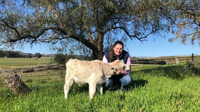 Veterinary students denied free access to Japanese encephalitis vaccine