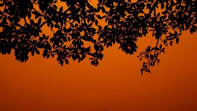 Ski Resort Looked Like A Desert As Skies Turned Red Amid Major Dust Storm