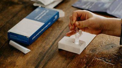 COVID updates: Every state and territory's coronavirus numbers in one place