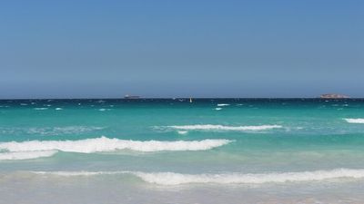 Kelp Beds shark attacks prompt WA's Esperance council to consider 'more dramatic' signage