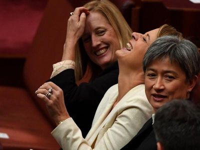 Labor senators deny bullying accusations