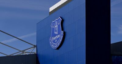 Two men arrested after Everton match pitch invaders force game to stop