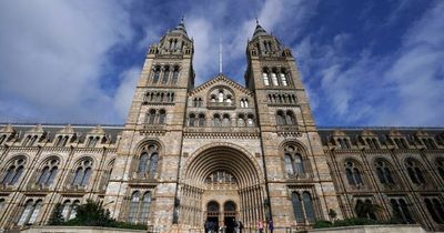 Most visited UK museum in 2021 revealed