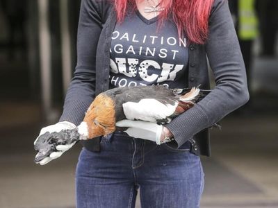 Duck lovers fail to halt shooting season