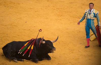 Bullfighting still benefits from millions of euros a year in EU farming subsidies