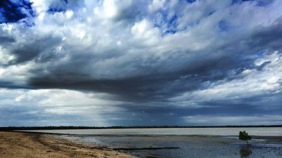 Fisherman accused of making deckhand swim across crocodile-inhabited river walks free