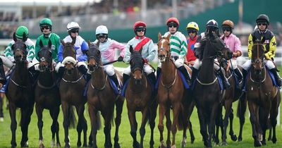 Second horse dies at Cheltenham Festival