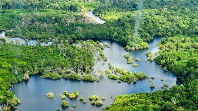 Brothers rescued after being lost for close to four weeks in Amazon rainforest