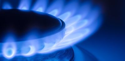 In a rush to replace Russian gas, the EU has damaged its own climate change strategy