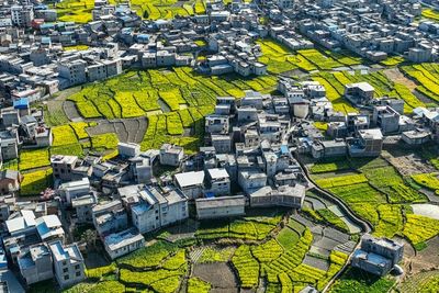 Opinion: To Revive Rural China, Define Where Public Space Ends and Private Space Begins