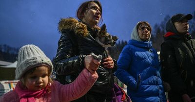 Volunteers wanting to host Ukraine refugees can now apply as process opens