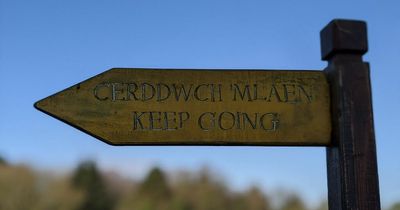 What happens when you put 'Wales' into a stock image search