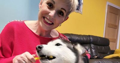 Mum claims pet pooch saved her life after pawing at cancerous lump in breast