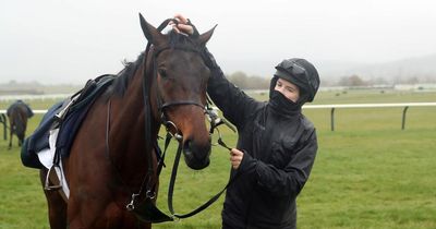 Which horses is Rachael Blackmore riding at the Cheltenham Festival today as the Gold Cup takes centre stage?