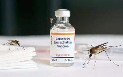 The danger of Japanese encephalitis is real, but the good news is that the virus is rarely lethal